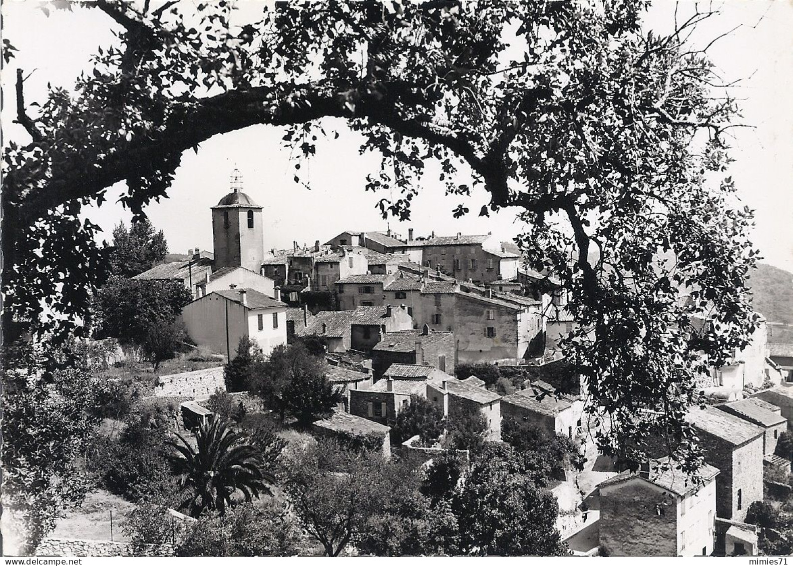 CP  RAMATUELLE Vue Generale - Ramatuelle