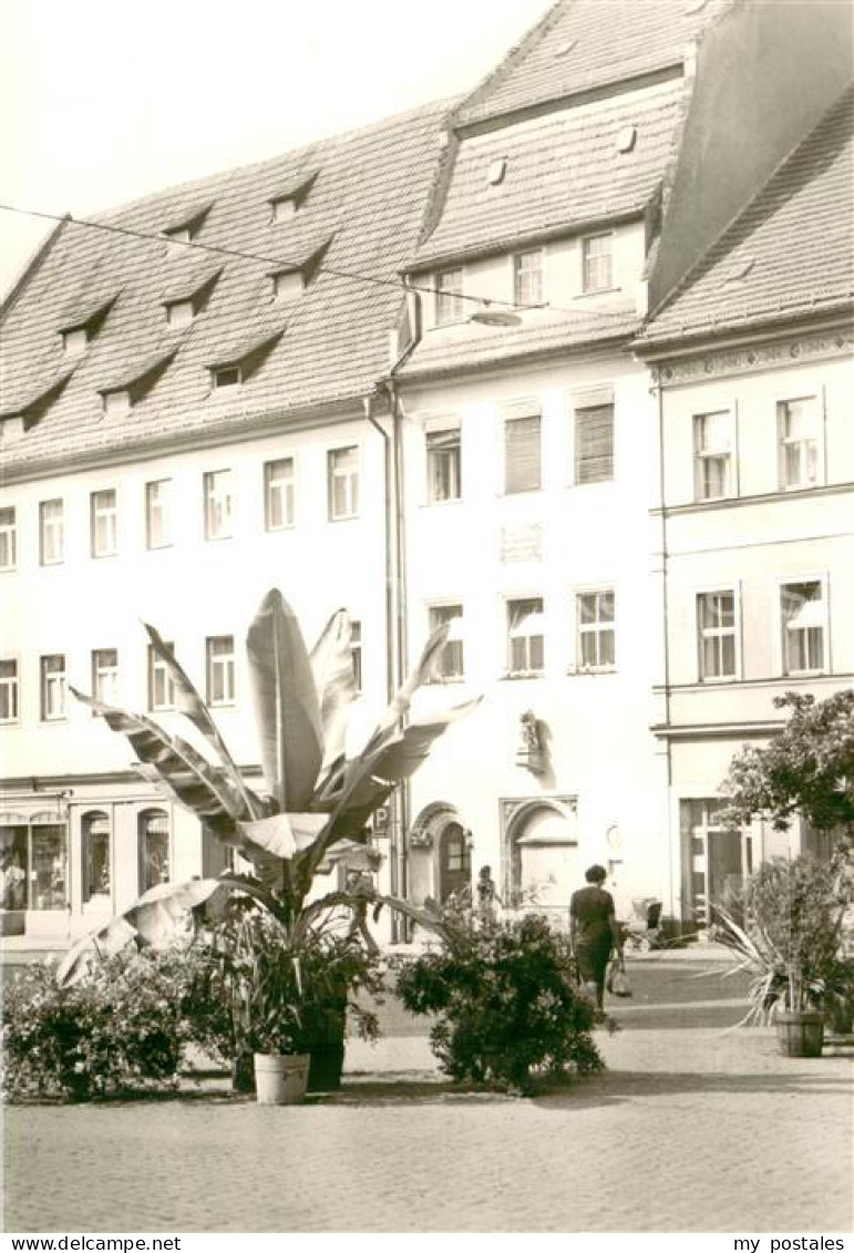 73750816 Pirna Stadtplatz Pirna - Pirna