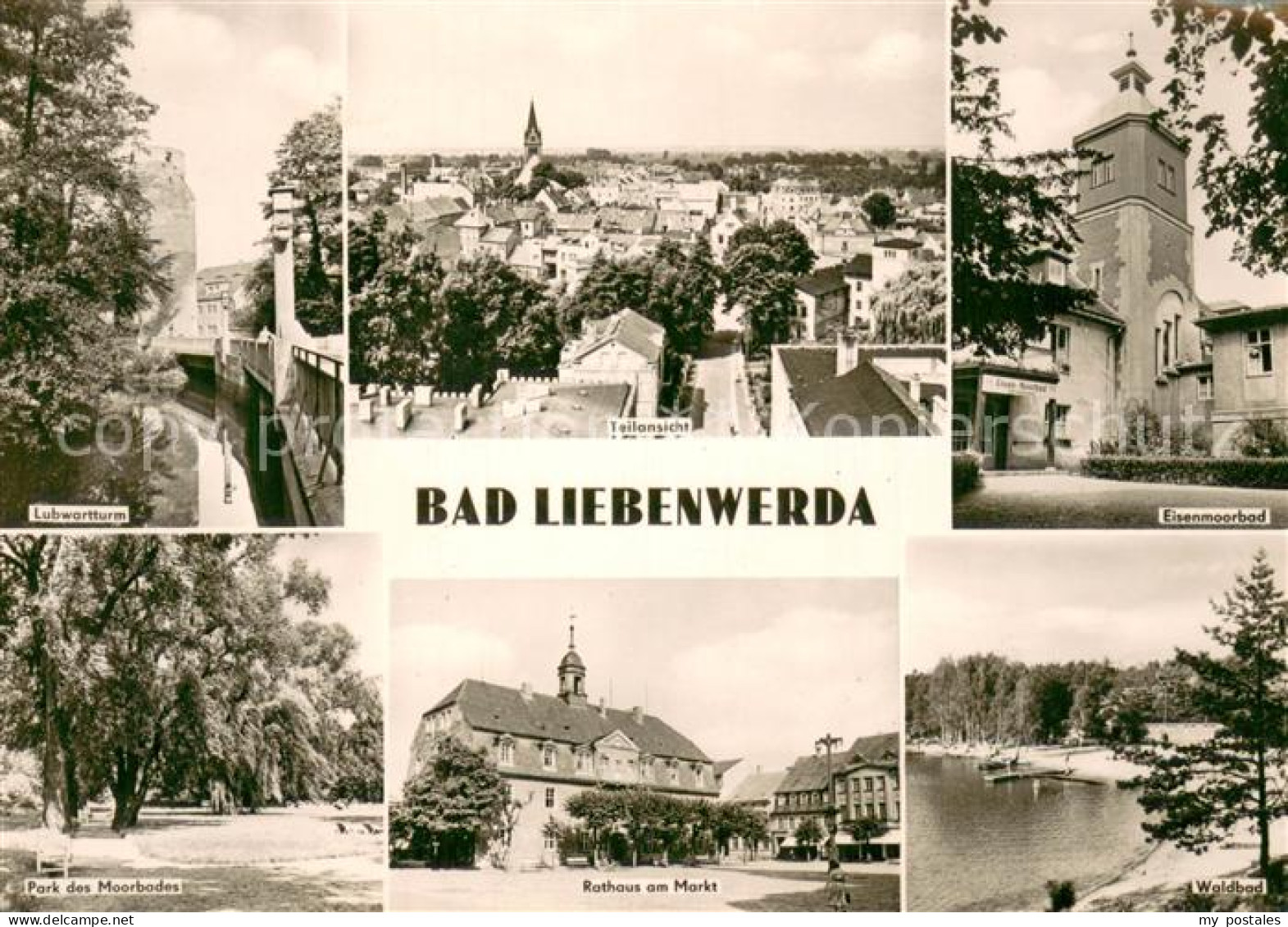 73750791 Bad Liebenwerda Lubwartturm Panorama Eisenmoorbad Park Des Moorbodes Ra - Bad Liebenwerda