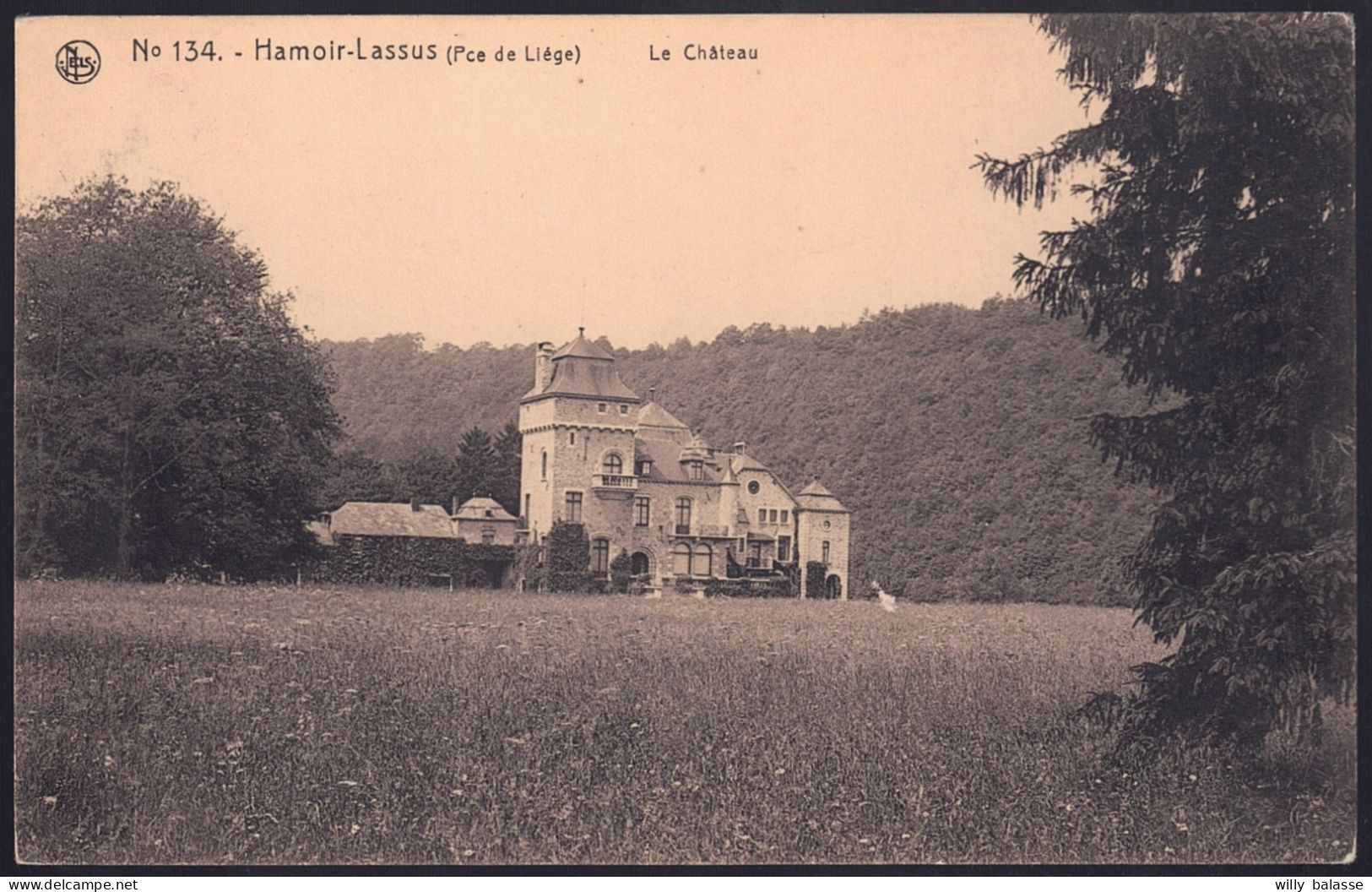 +++ CPA - HAMOIR LASSUS - Château  // - Hamoir
