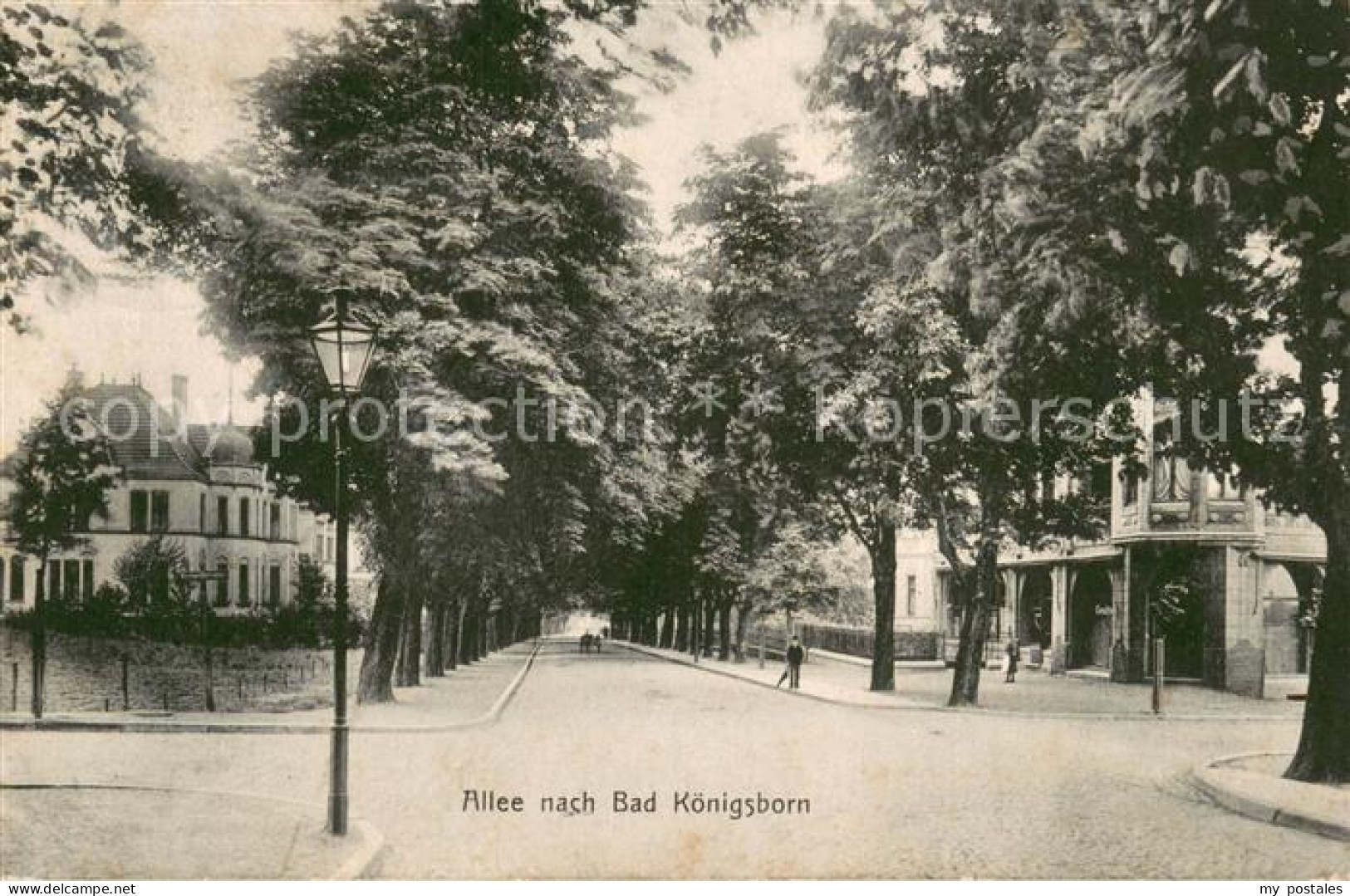 73748707 Bad Koenigsborn Unna Allee  - Unna