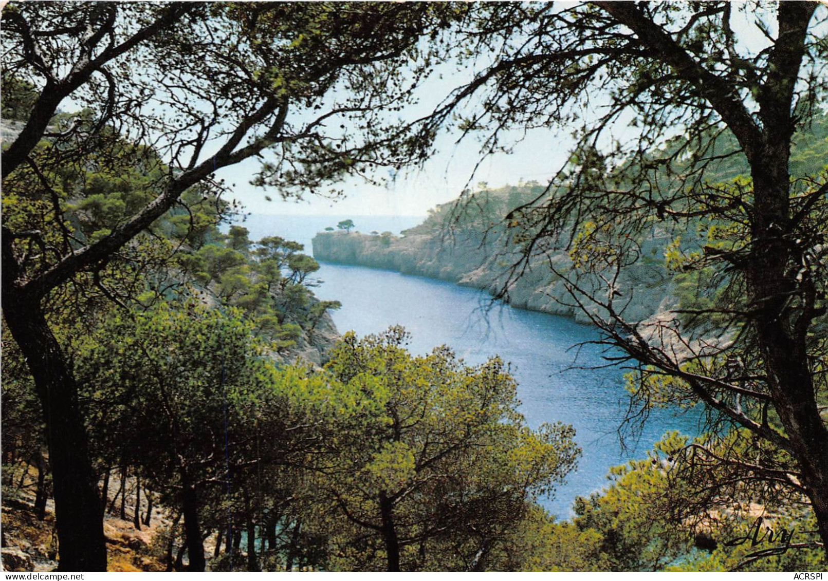 Pres De CASSIS Calanque De Port PIN 6(scan Recto-verso) MA2010 - Cassis