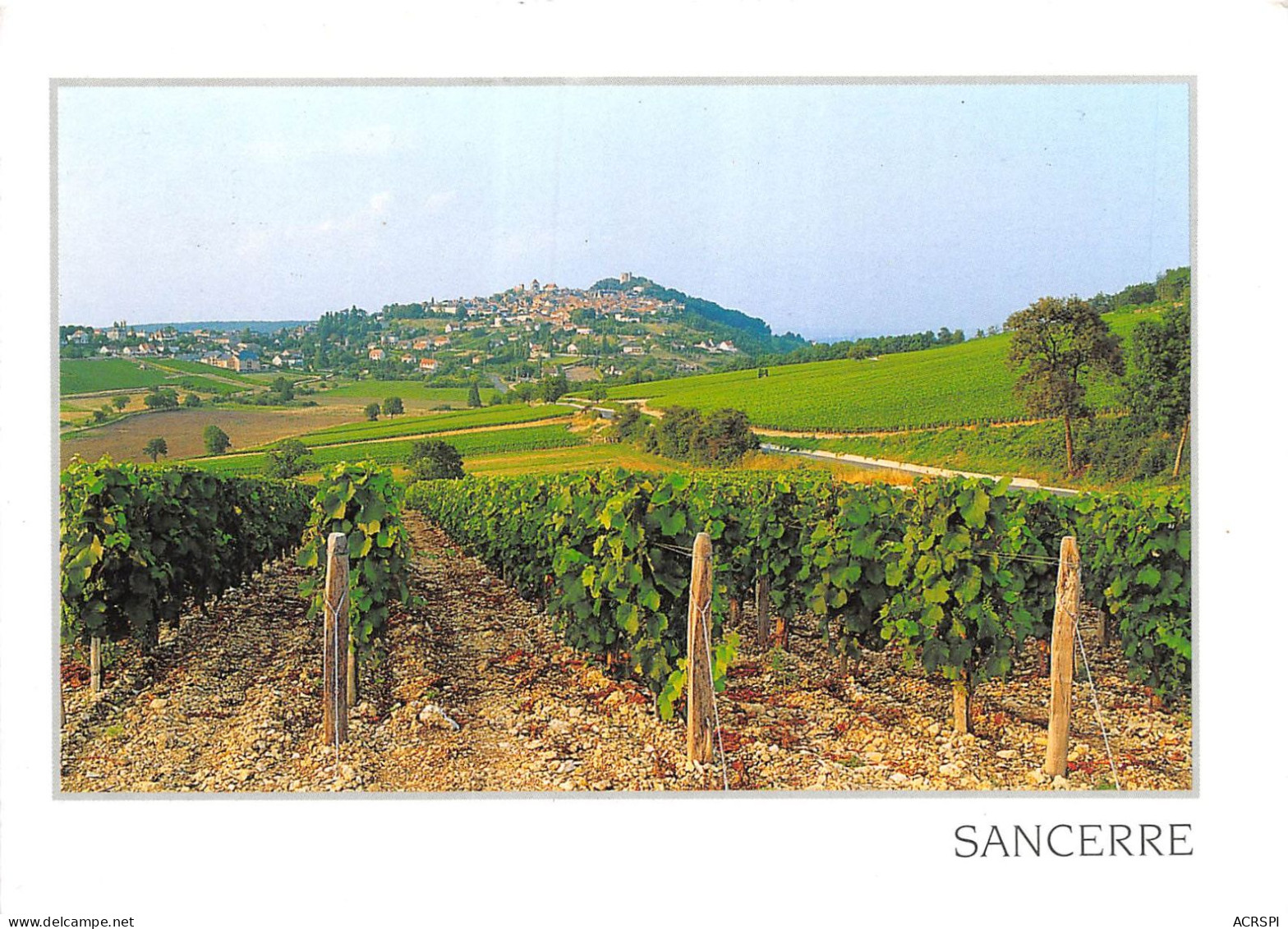 SANCERRE Dans Les Vignes 13(scan Recto-verso) MA2004 - Sancerre