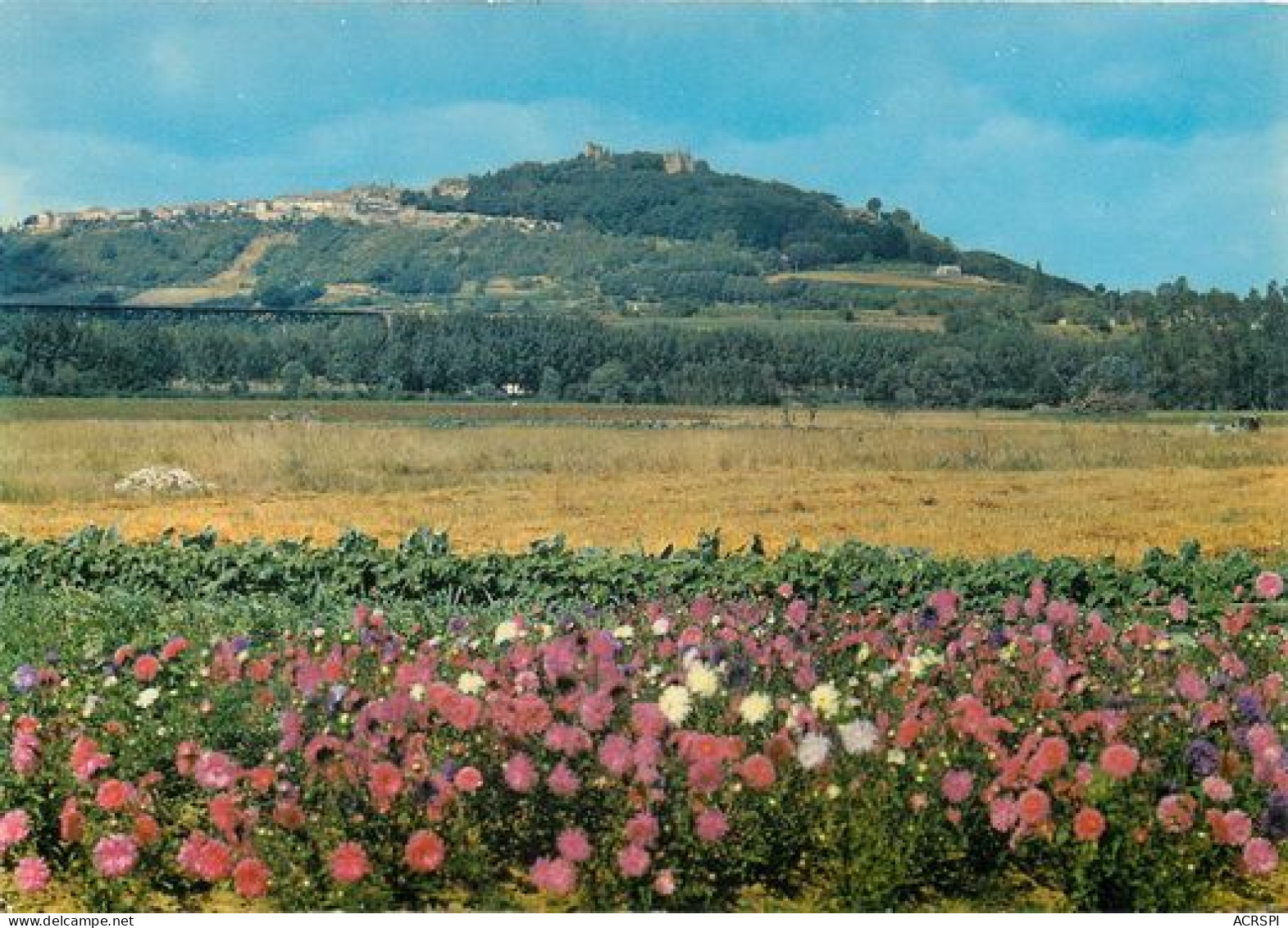 SANCERRE  La Colline  12   (scan Recto-verso)MA2025Bis - Sancerre