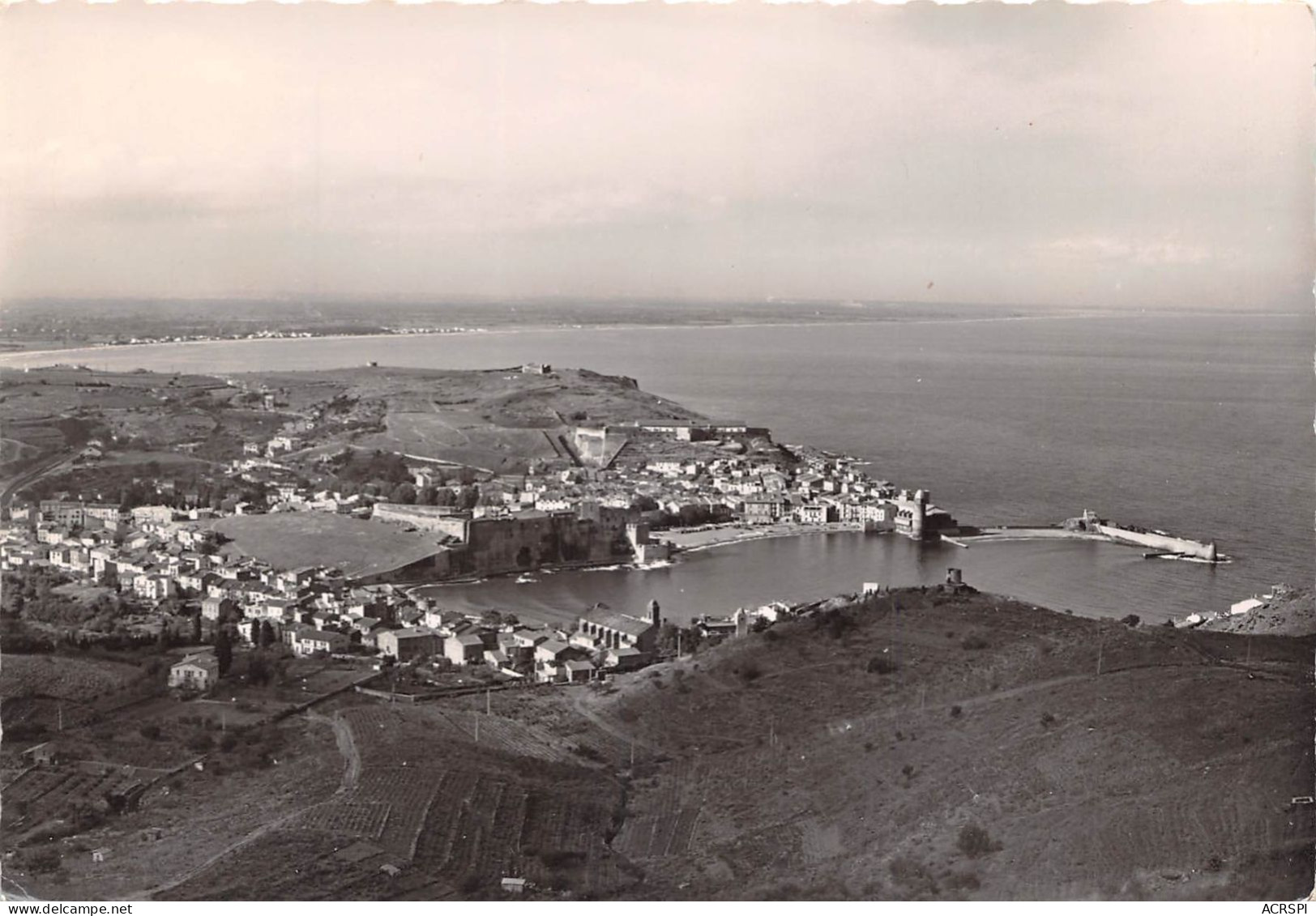 COLLIOURE Vue Generale Sur La Ville Et La Cote Vermeille 29(scan Recto-verso) MA2021 - Collioure