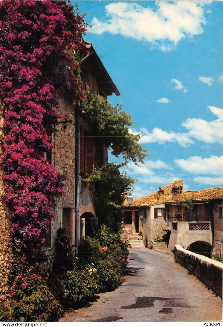 Une Vieille Rue Pittoresque Et Fleurie Haut CAGNES S MER 17(scan Recto-verso) MA2019 - Cagnes-sur-Mer