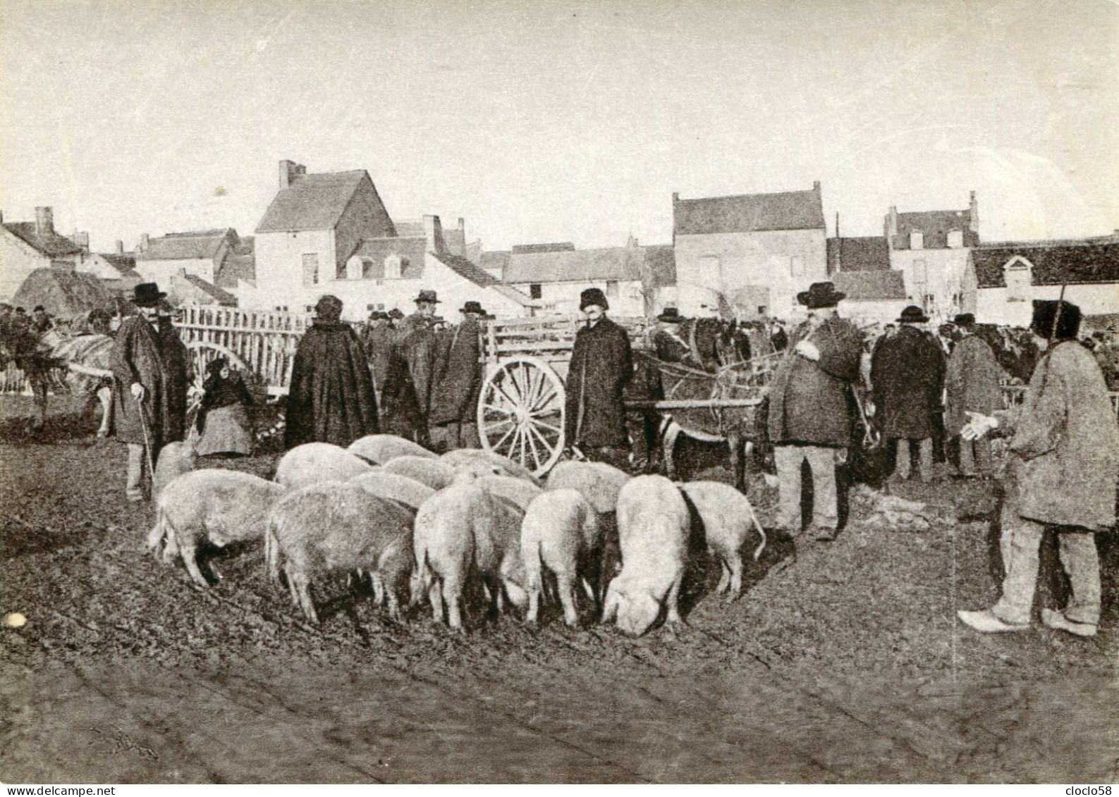 EN MORVAN, LA FOIRE AUX PORCS - Sonstige & Ohne Zuordnung