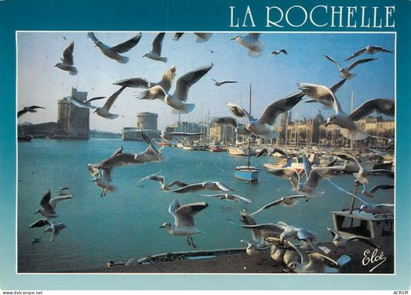 LA ROCHELLE  Mouettes Sur Le Port   4   (scan Recto-verso)MA2012Bis - La Rochelle