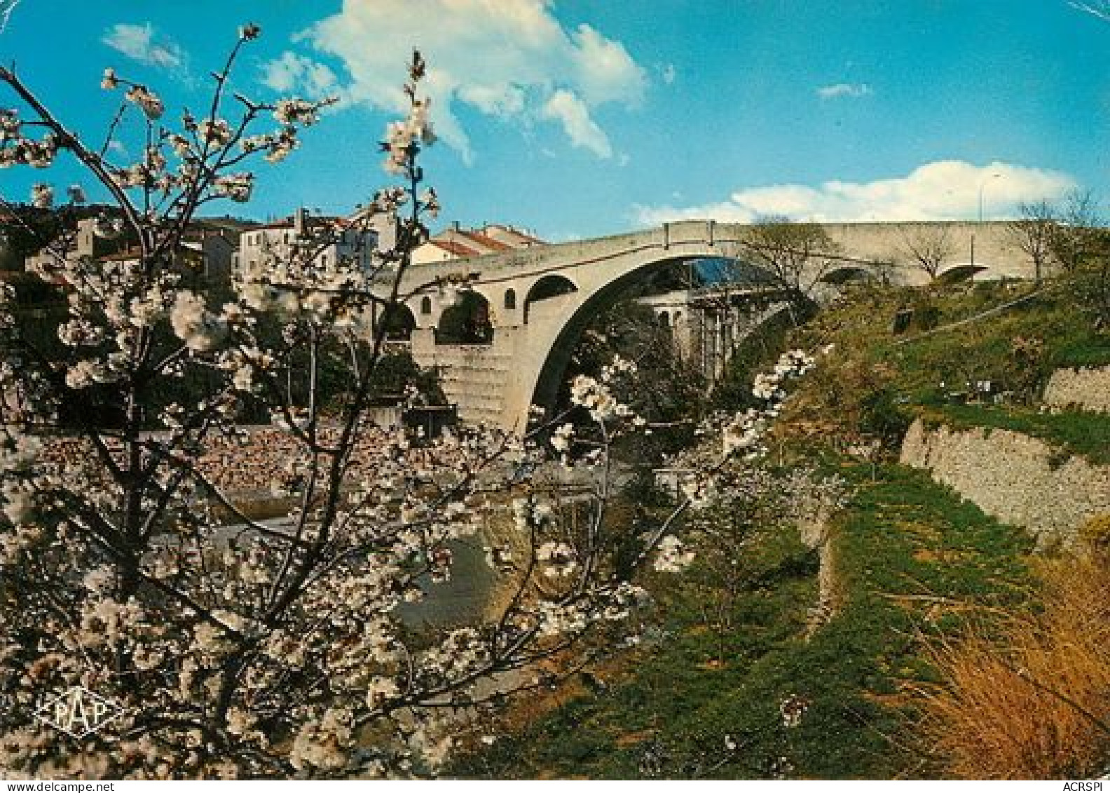 CERET  Cerisiers En Fleurs  60   (scan Recto-verso)MA2046Bis - Ceret