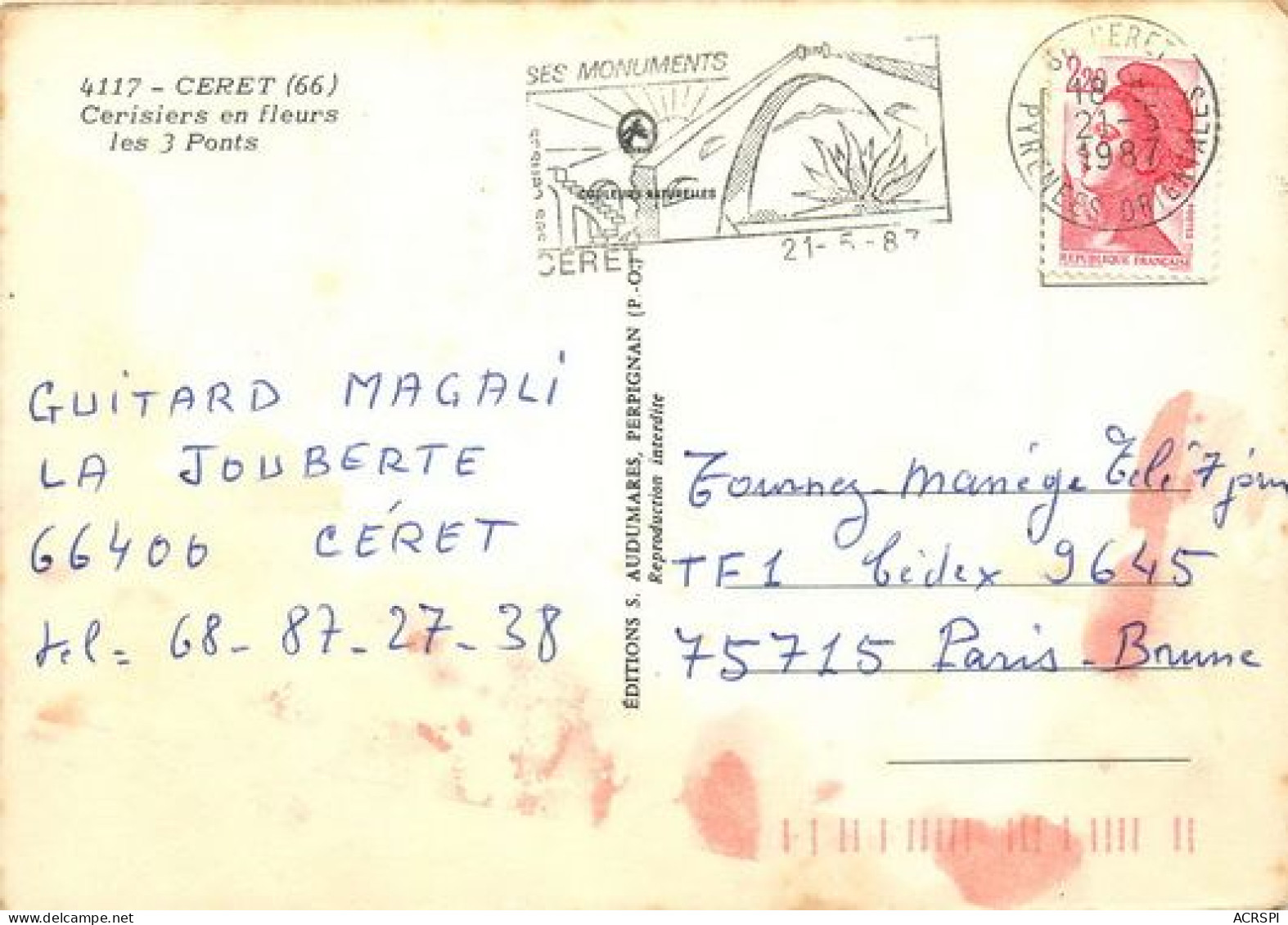 CERET  Cerisiers En Fleurs  60   (scan Recto-verso)MA2046Bis - Ceret