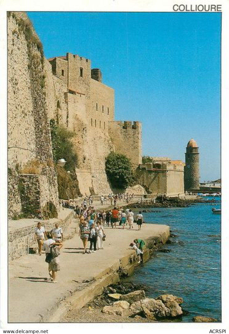 COLLIOURE  Le Chateau Fort Et L'eglise   8   (scan Recto-verso)MA2046Bis - Collioure