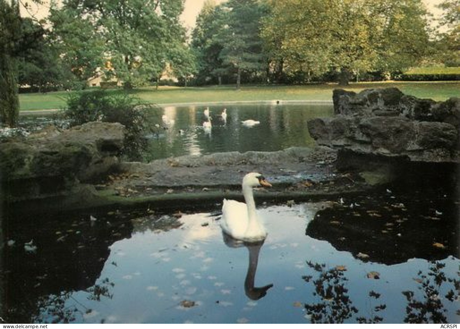 TOURCOING  Parc Clemenceau Le Cygne  28   (scan Recto-verso)MA2035Ter - Tourcoing