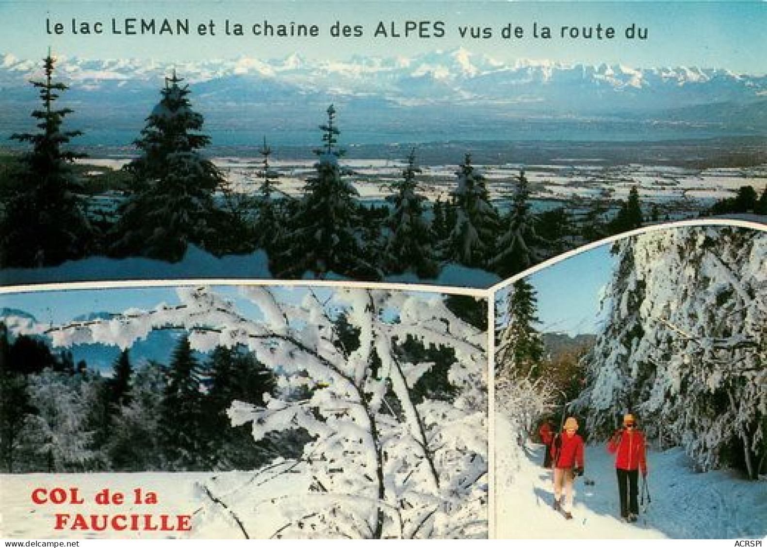 Col De La Faucille  Panorama  Le Col Relie Gex Et Saint-Claude Via Mijoux  4   (scan Recto-verso)MA2054Ter - Gex