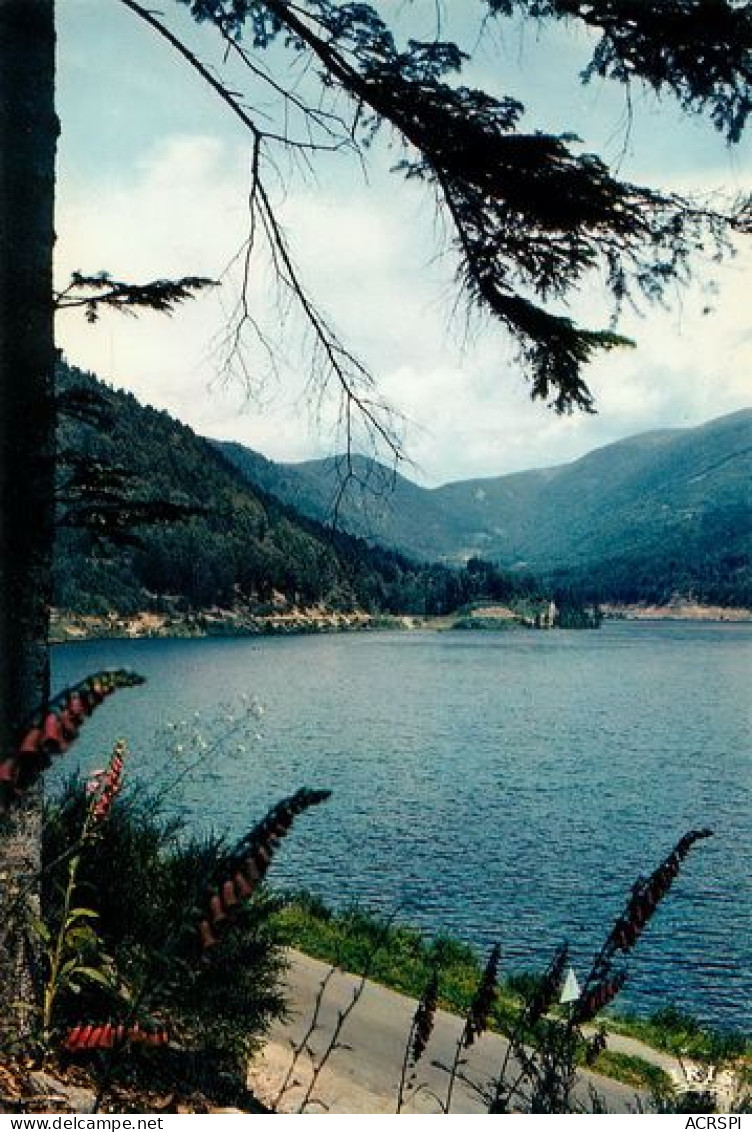 Lac De Kruth Wildenstein Fellering  35 (2 Scans)MA2054Bis - Altri & Non Classificati