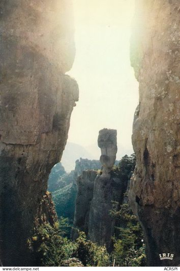 Gorges Du Tarn  Le Vase De Sevres  27   (scan Recto-verso)MA2048Ter - Gorges Du Tarn