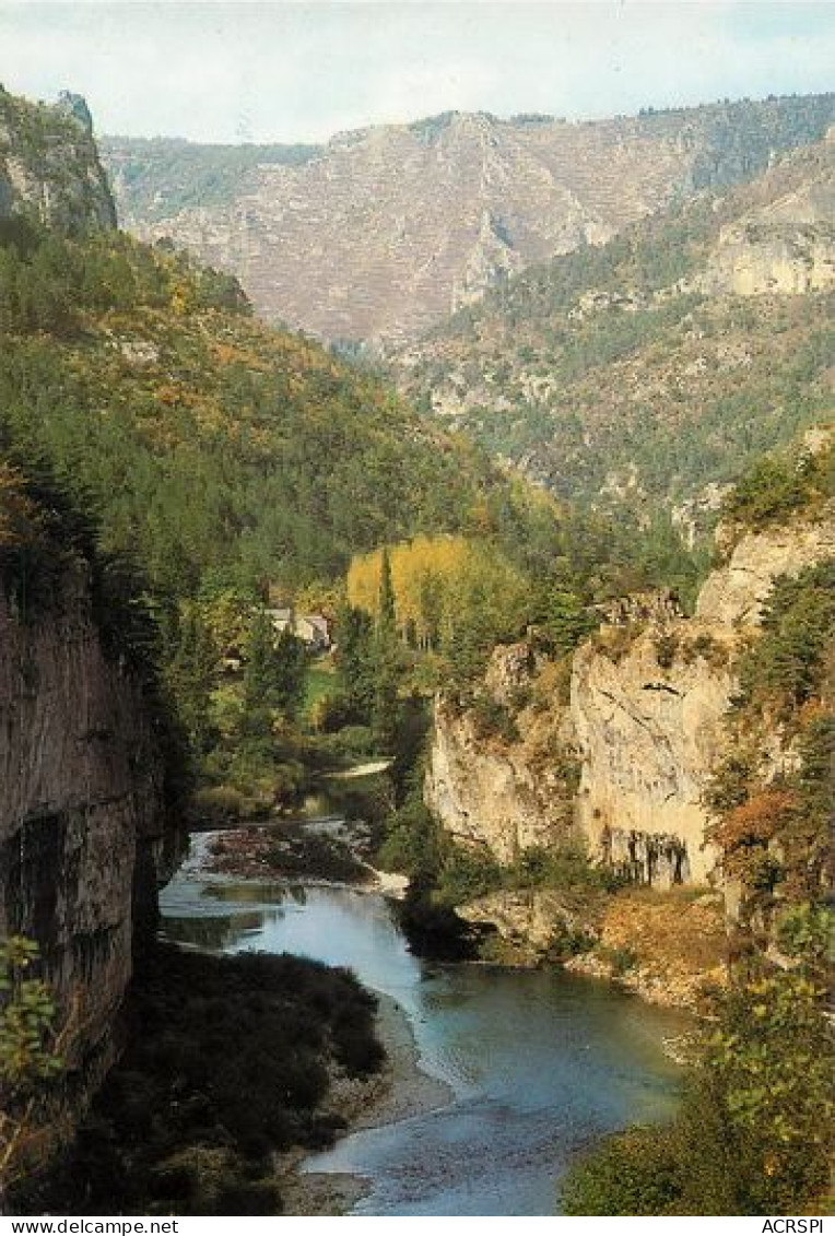 Gorges Du Tarn  Domaine De La CROZE    22   (scan Recto-verso)MA2048Ter - Gorges Du Tarn