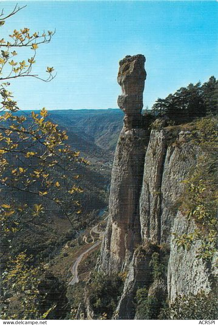 Gorges De La Jonte  Et Vase De Sevres   30   (scan Recto-verso)MA2048Ter - Gorges Du Tarn