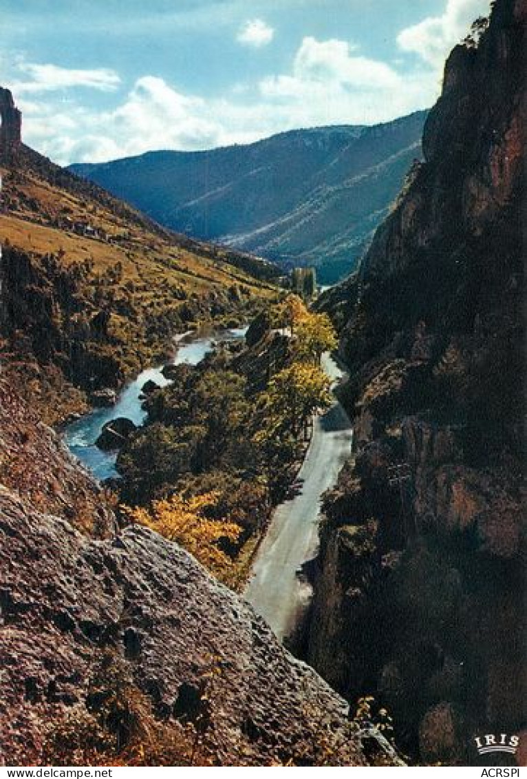 Gorges Du Tarn  Aux Environs Des VIGNES   20   (scan Recto-verso)MA2048Ter - Gorges Du Tarn