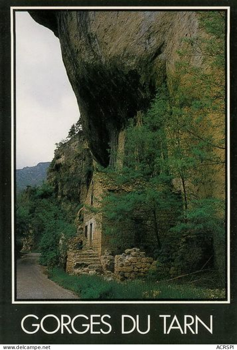 Gorges Du Tarn    15   (scan Recto-verso)MA2048Ter - Gorges Du Tarn