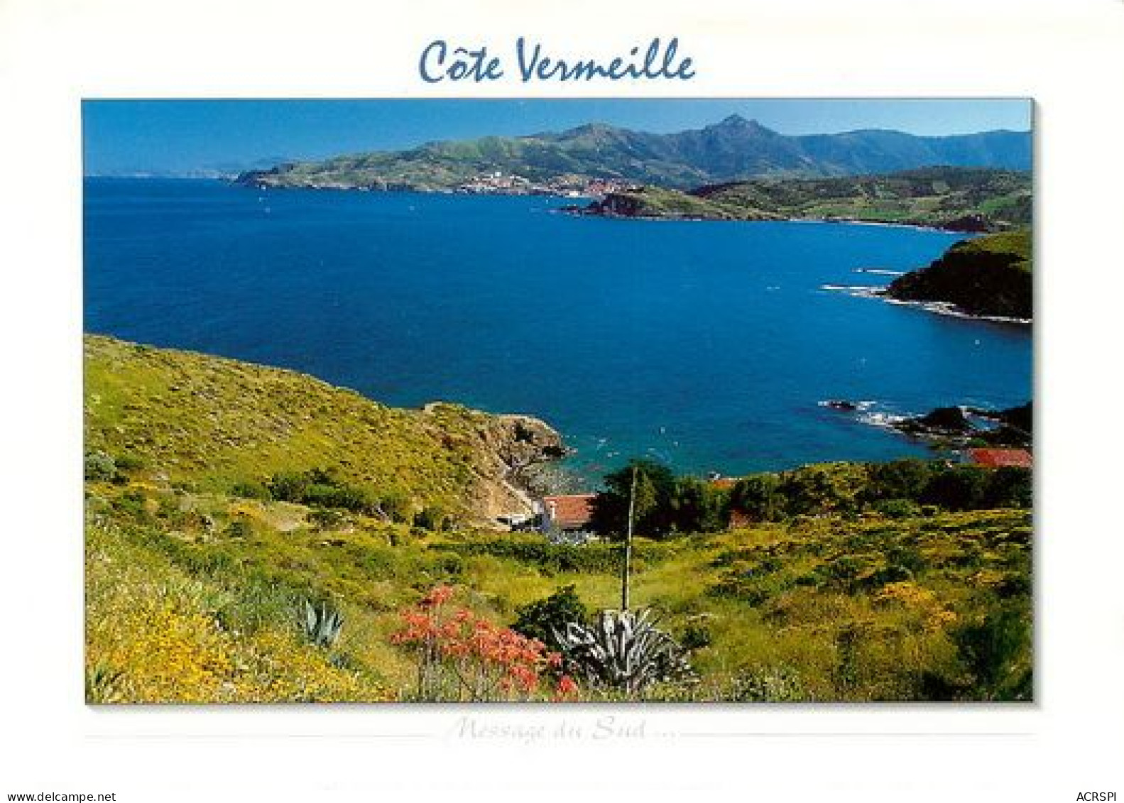 BANYULS  Sur MER Les Criques Du Cap  BEAR  51   (scan Recto-verso)MA2048Bis - Banyuls Sur Mer