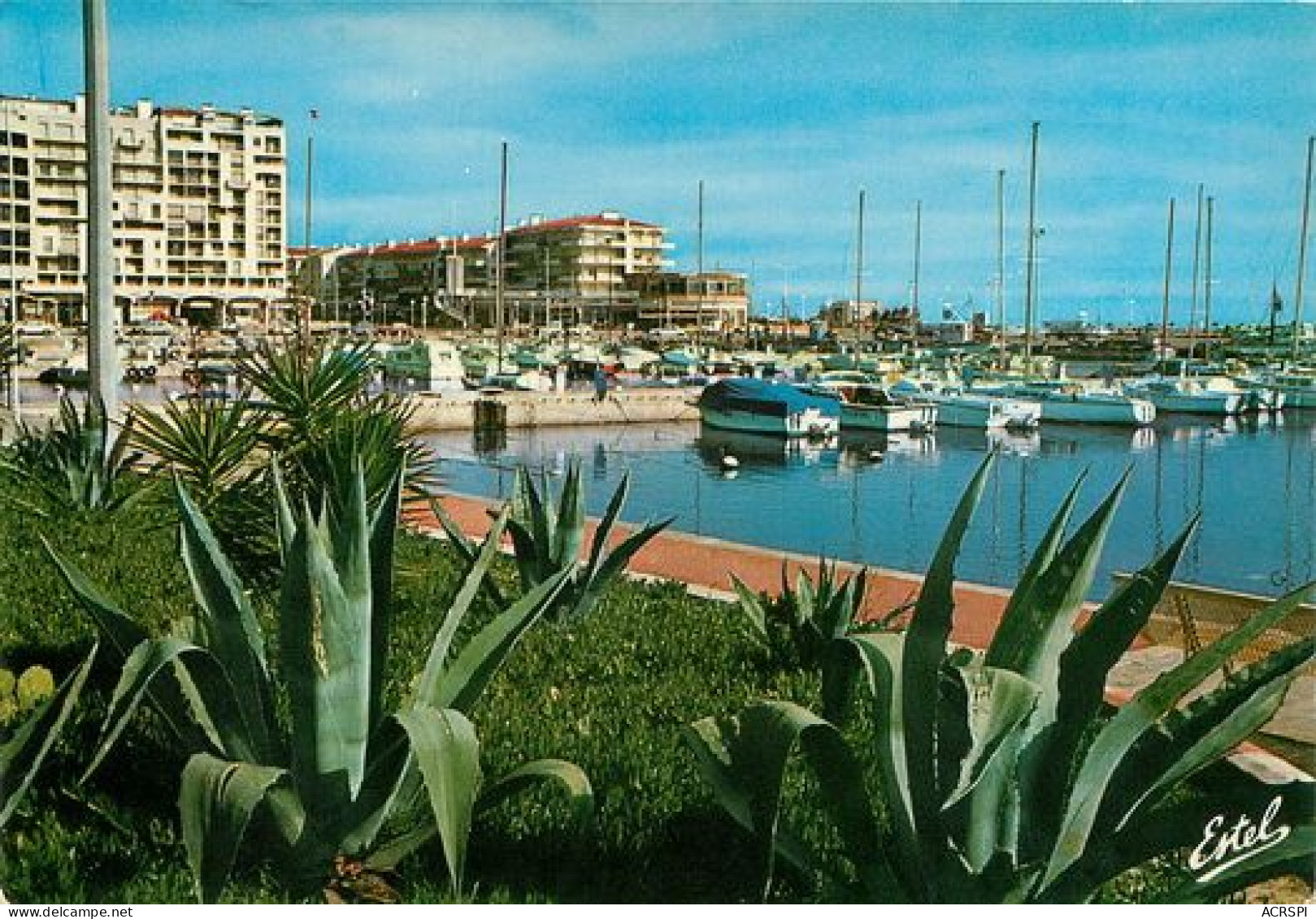 SAINT CYPRIEN PLAGE Le Port De Plaisance  61   (scan Recto-verso)MA2048Bis - Saint Cyprien
