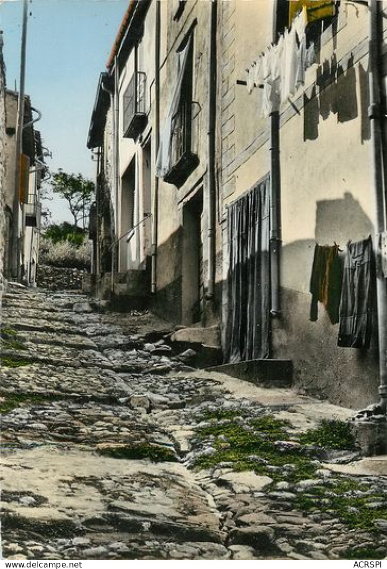 COLLIOURE  Ancienne Rue  15   (scan Recto-verso)MA2048Bis - Collioure