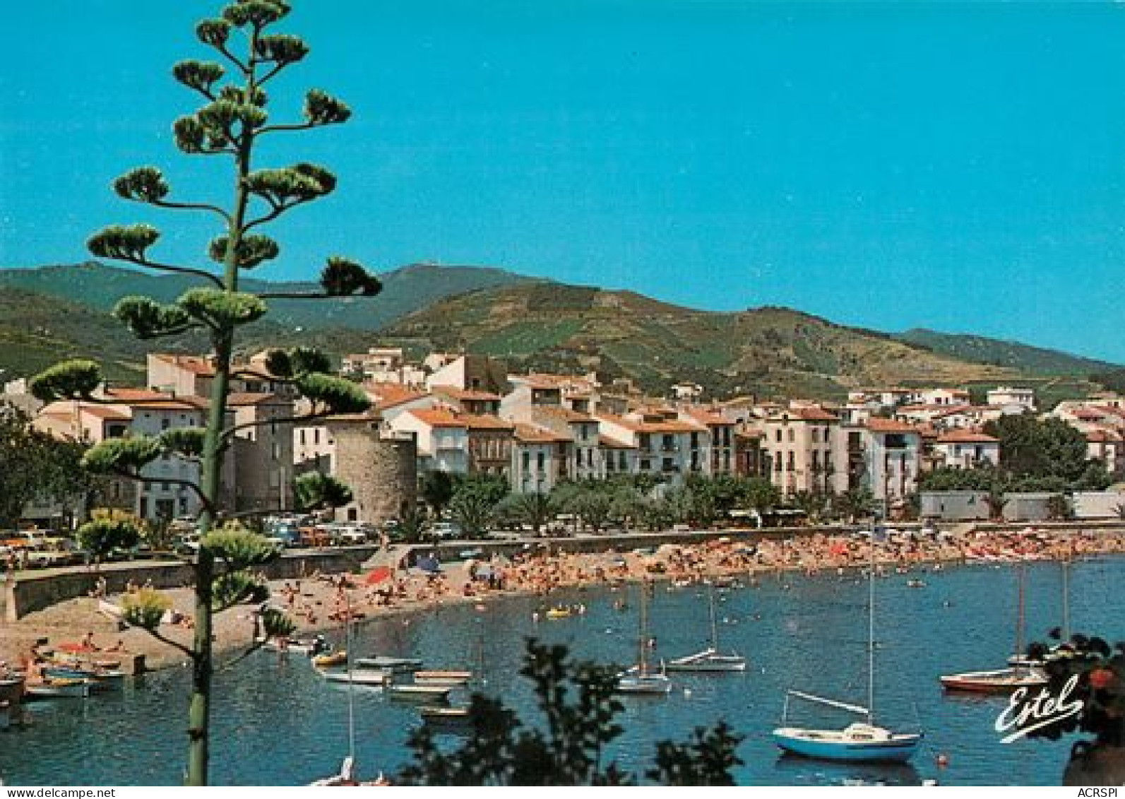 COLLIOURE   Plage Du Faubourg 11   (scan Recto-verso)MA2048Bis - Collioure