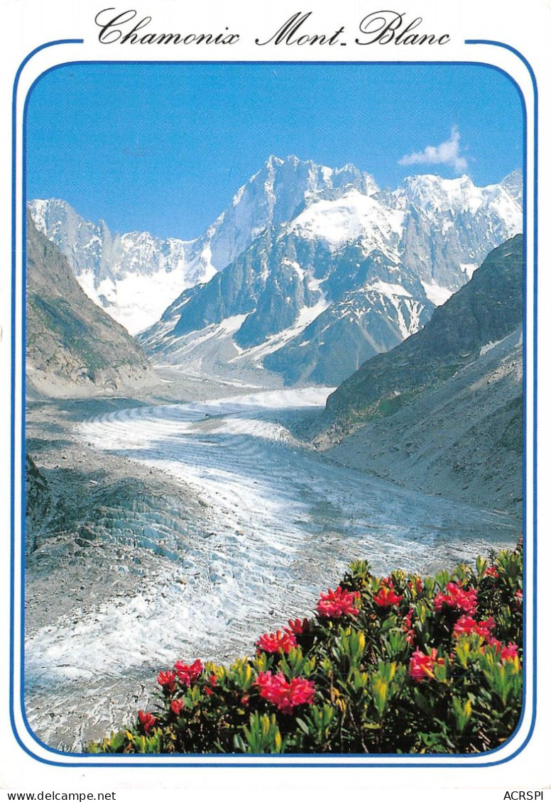 CHAMONIX MONT BLANC La Mer De Glace Et Les Grandes Jorasses 4(scan Recto-verso) MA2048 - Chamonix-Mont-Blanc