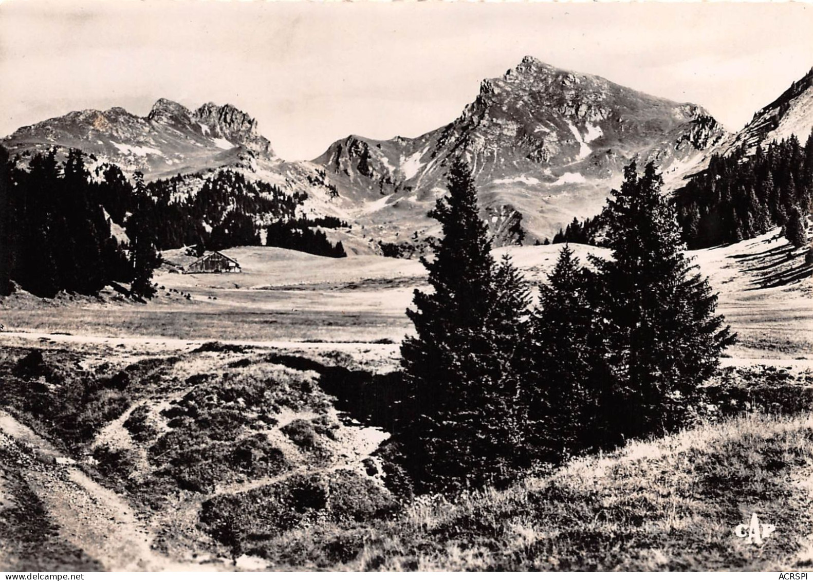 TANINGES Le Praz De Lys Les Rochers De Vesine Et La Pointe De Chalune 28(scan Recto-verso) MA2048 - Taninges