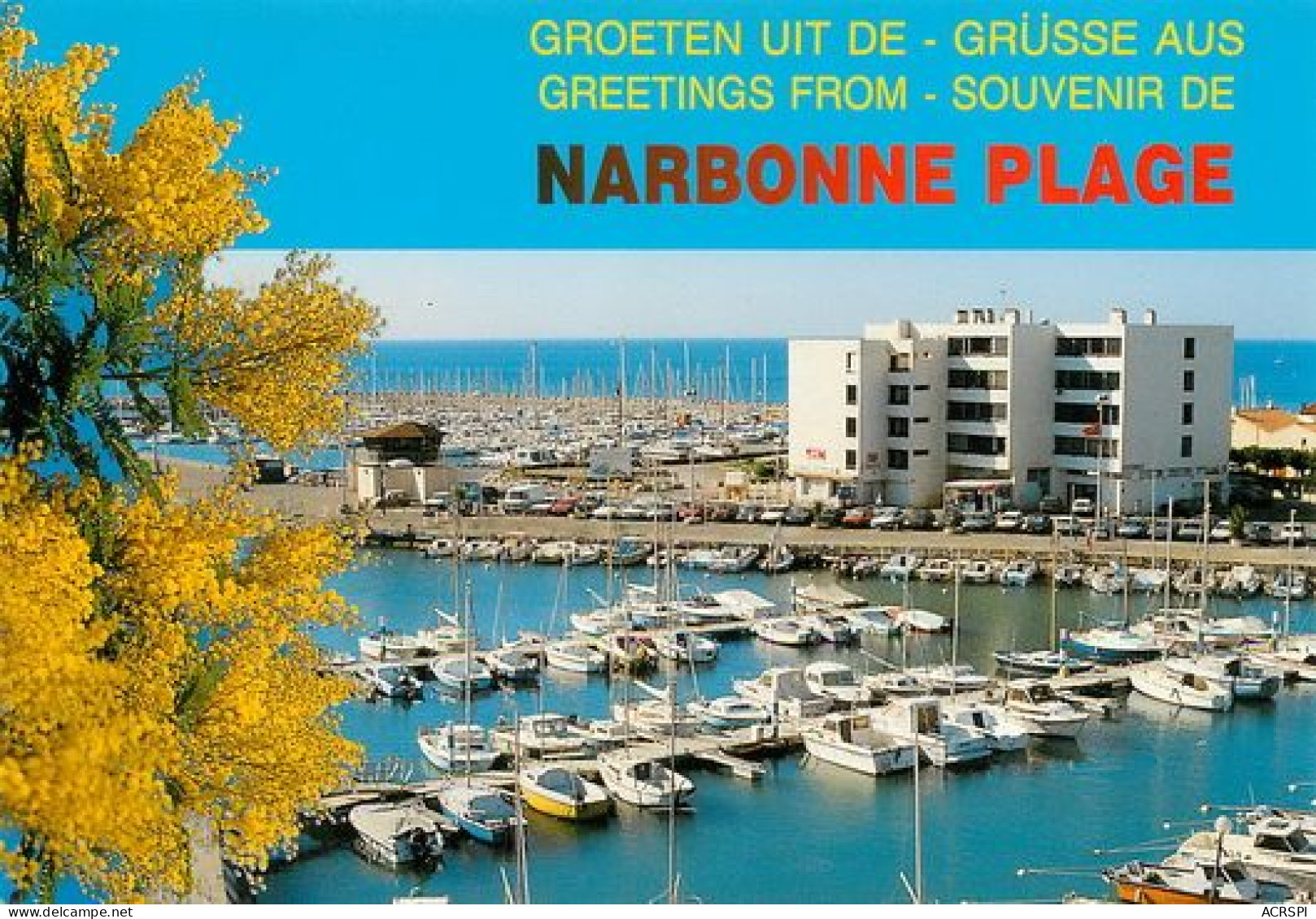 NARBONNE PLAGE La Marina  22  (scan Recto-verso)MA2062Bis - Narbonne