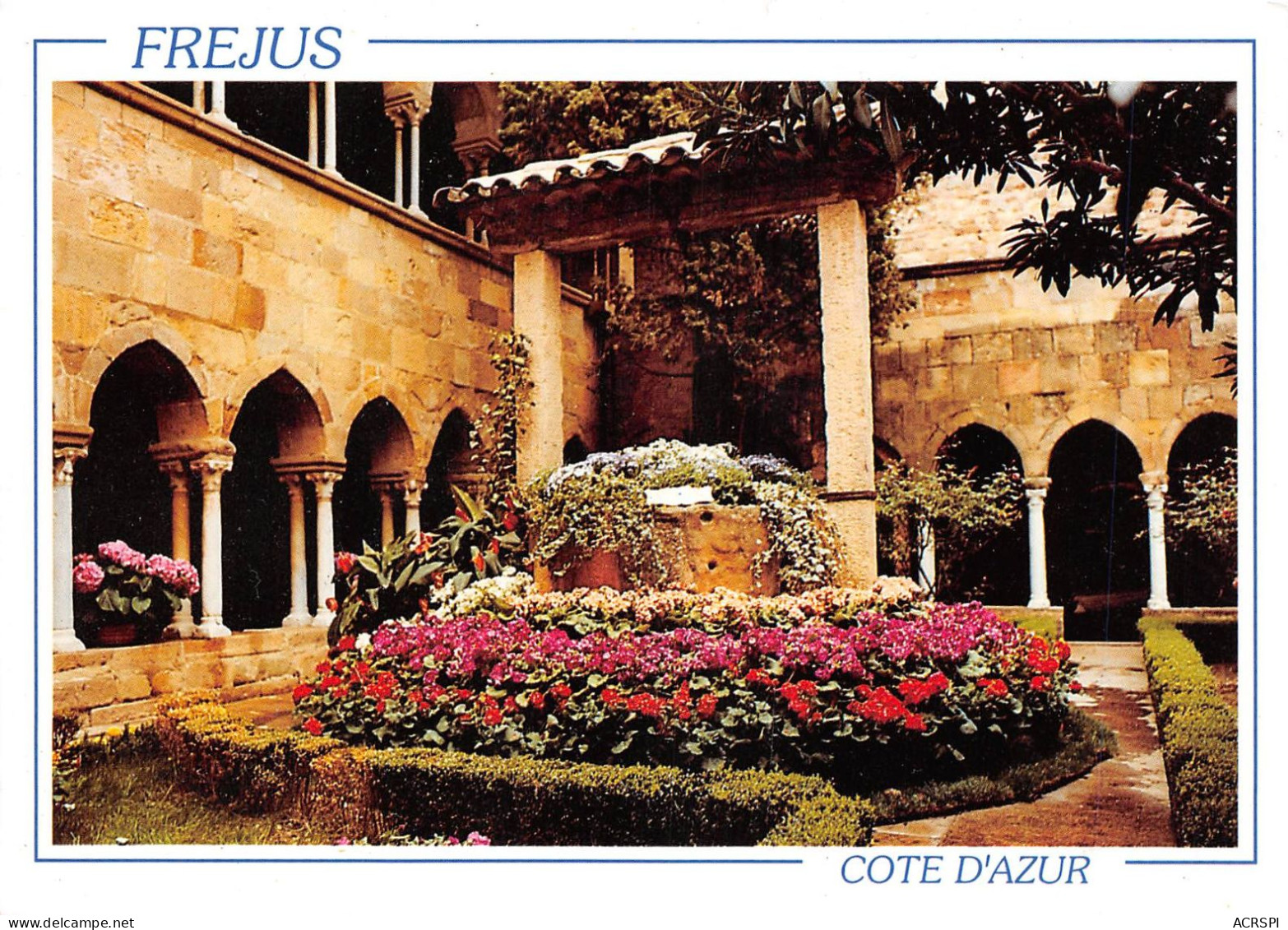FREJUS Le Cloitre Son Petit Jardin Central Et Le Vieux Puits 4(scan Recto-verso) MA2062 - Frejus