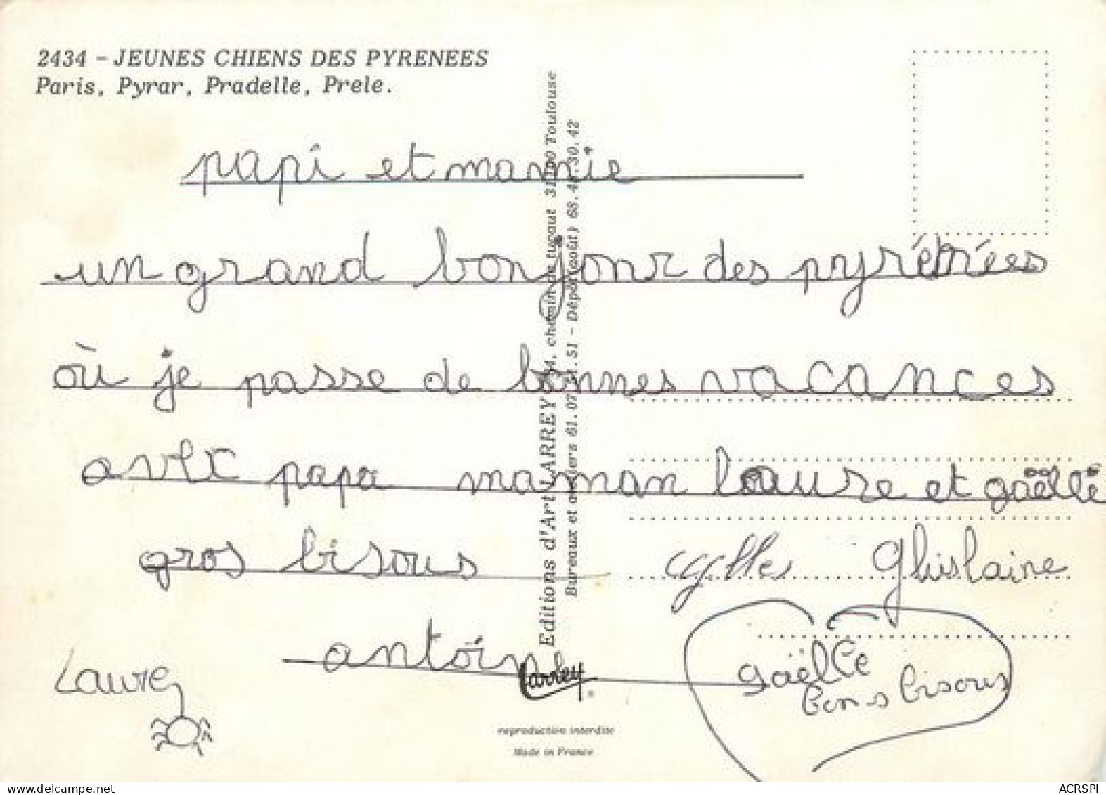 Jeunes PATOU  Chiens Des Pyrenées   Aragnouet  SAINT LARY  38  (scan Recto-verso)MA2062Bis - Aragnouet