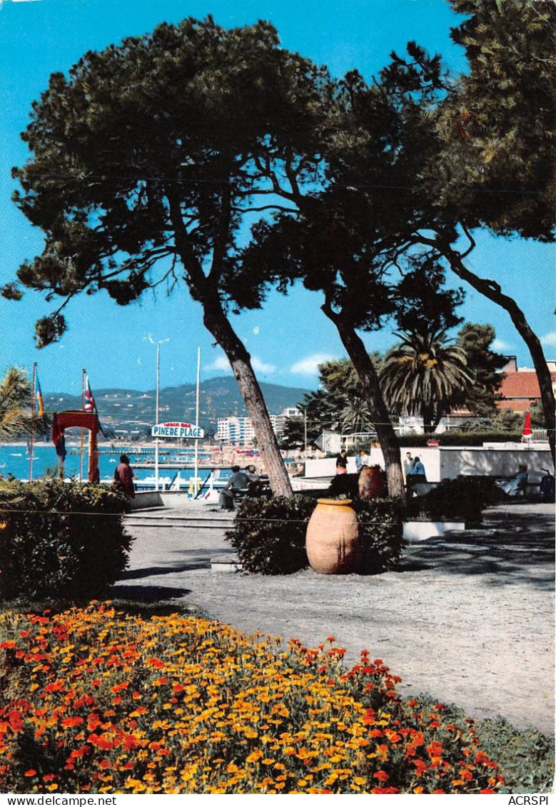 JUAN LES PINS Et Sa Pinede Fleurie 22(scan Recto-verso) MA2061 - Juan-les-Pins