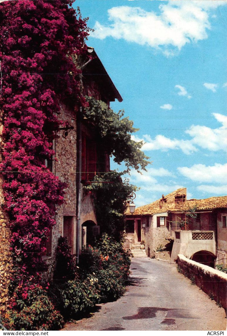 Provence Une Vieille Rue Pittoresque Et Fleurie 16(scan Recto-verso) MA2061 - Cagnes-sur-Mer