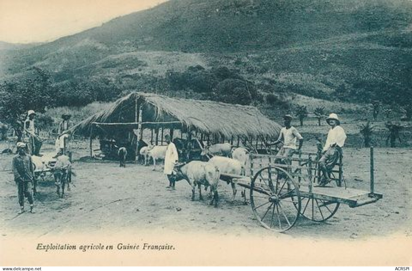 GUINEE FRANCAISE  CONAKRY EXPLOITATION AGRICOLE  51  (scan Recto-verso)MA2058Bis - Guinée Française