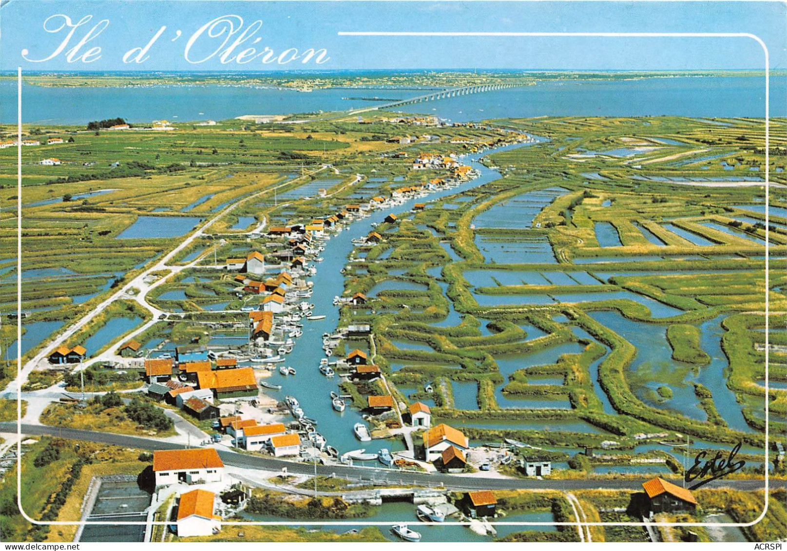 ILE D OLERON Le Port Ostreicole D Ors Et Ses Claires Vue Aerienne 16(scan Recto-verso) MA2070 - Ile D'Oléron