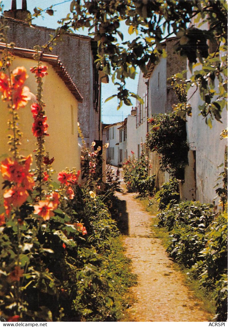 ILE DE RE  ARS Jolie Venelle En Fleurs 21(scan Recto-verso) MA2070 - Ile De Ré