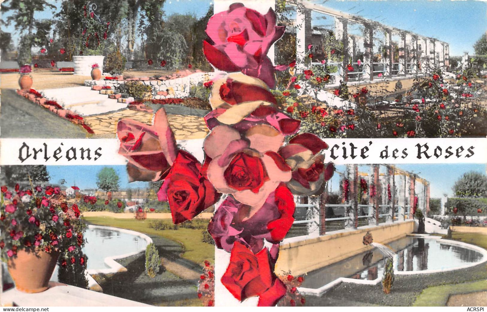 7 ORLEANS Cite Des Roses La Roseraie (scan Recto-verso) MA2069 - Orleans
