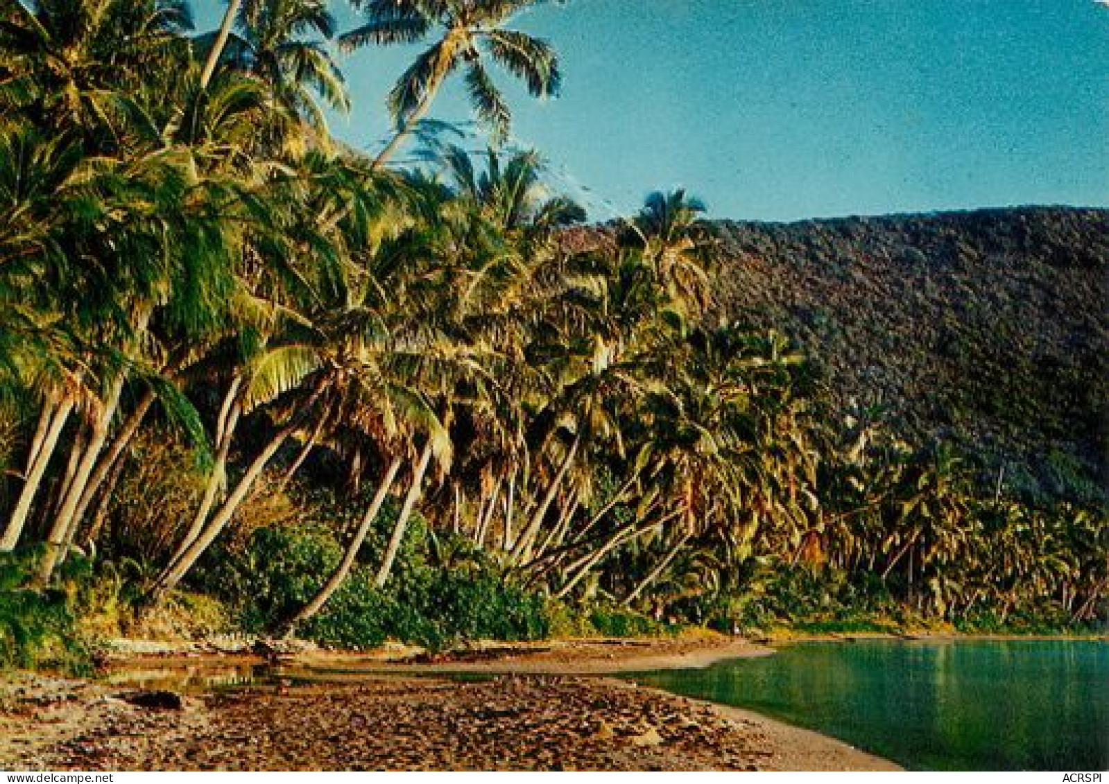 NOUVELLE CALEDONIE   L'île OUEN  55   (scan Recto-verso)MA2068Ter - Nouvelle Calédonie