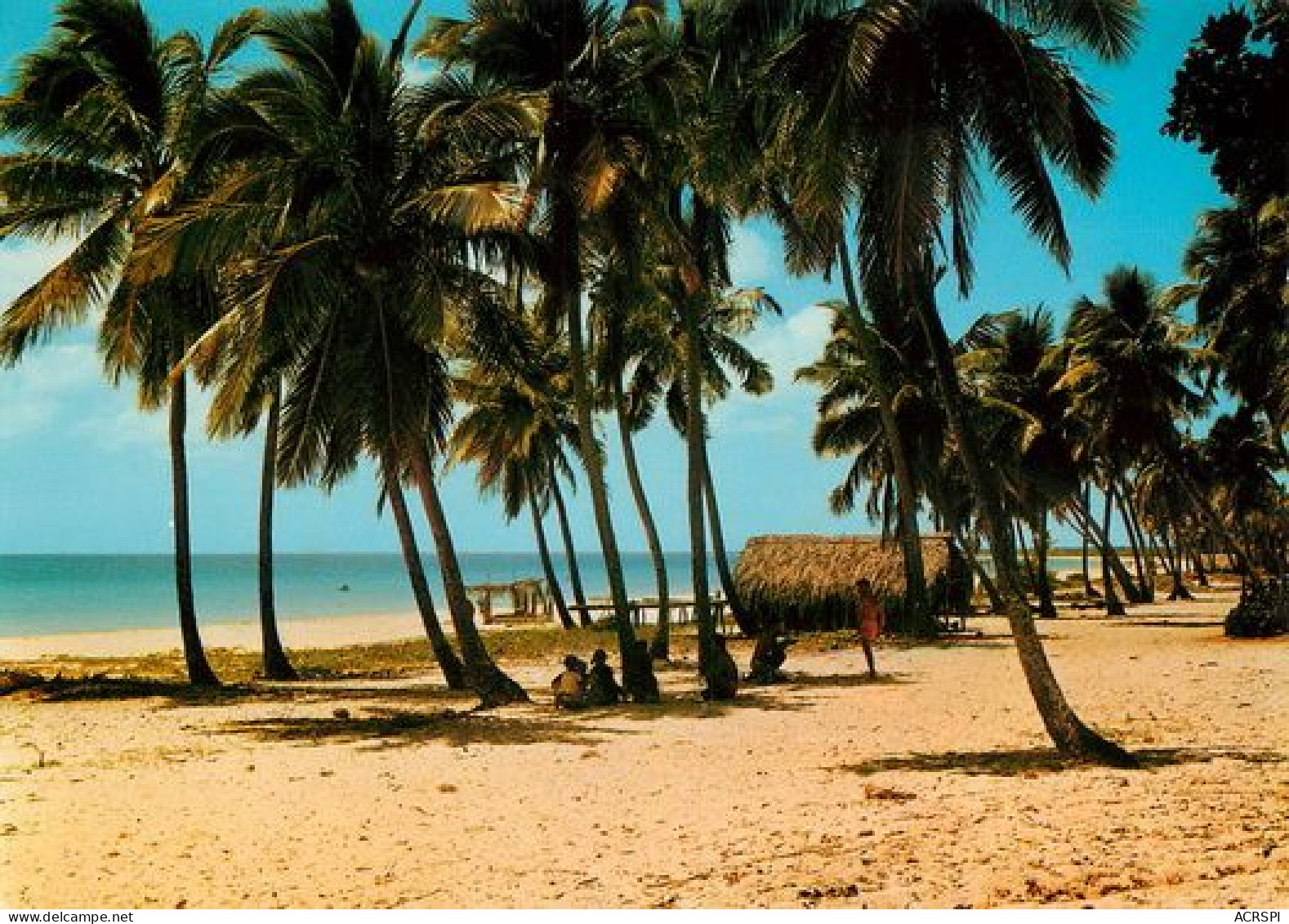 NOUVELLE CALEDONIE  Plage De MOULI OUVEA Iles Loyauté  53   (scan Recto-verso)MA2068Ter - Nouvelle Calédonie