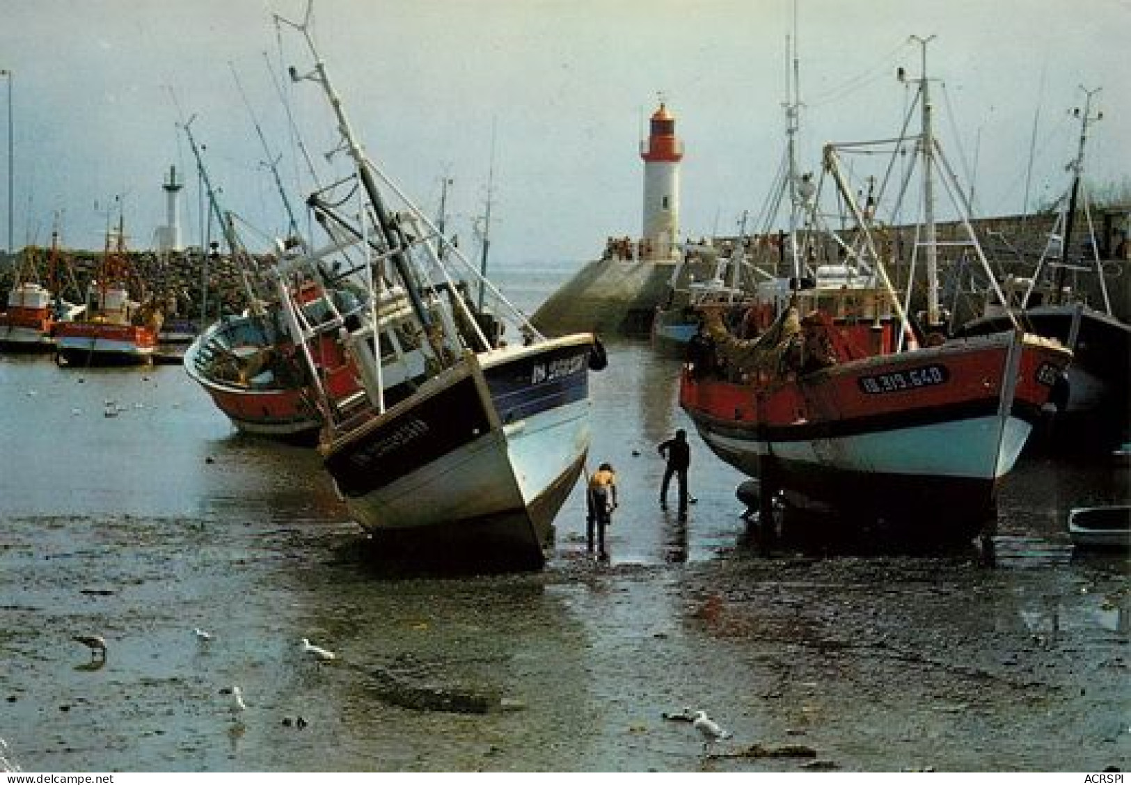 ÎLE D' OLERON  La Cotiniere Les Chalutiers  8   (scan Recto-verso)MA2068Ter - Ile D'Oléron