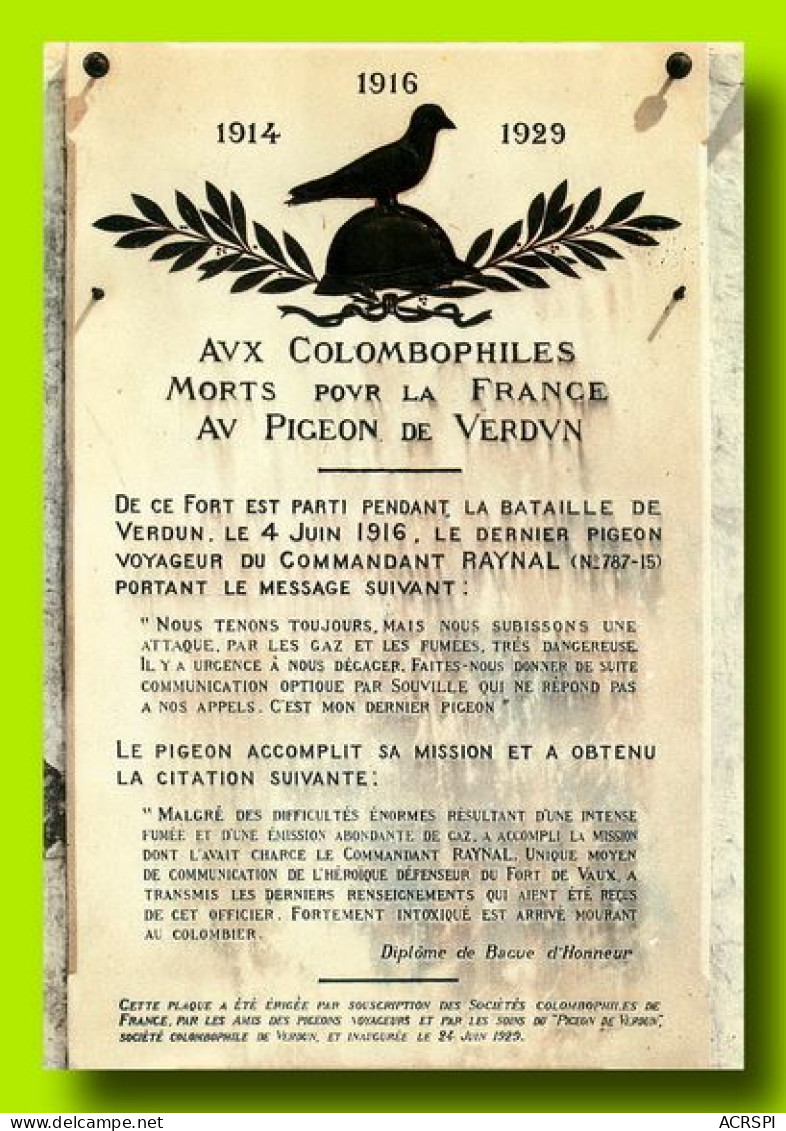 VERDUN Fort De VAUX  Plaque Du Dernier PIGEON  45   (scan Recto-verso)MA2066Bis - Verdun