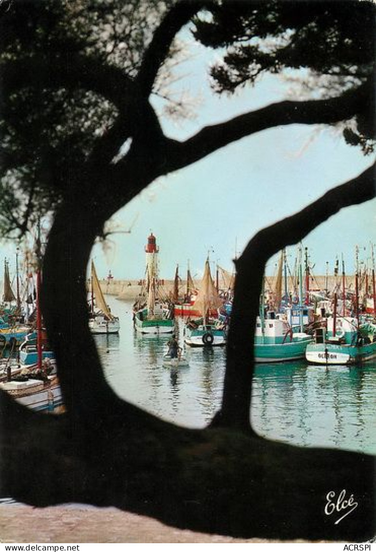 ILE D' OLERON  La Cotiniere  Le Port  Et Le Phare  30  (scan Recto-verso)MA2064Ter - Ile D'Oléron