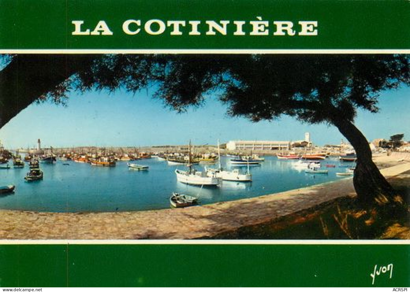 ILE D' OLERON  La Cotiniere  Le Port  Chalutiers   32  (scan Recto-verso)MA2064Ter - Ile D'Oléron