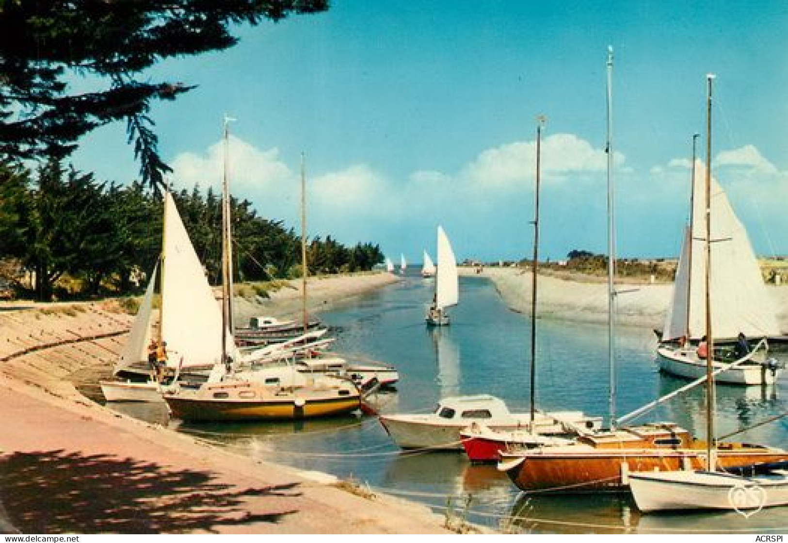 ILE DE Ré  ARS En Ré Yachts Sortant Du Port  16  (scan Recto-verso)MA2064Ter - Ile De Ré