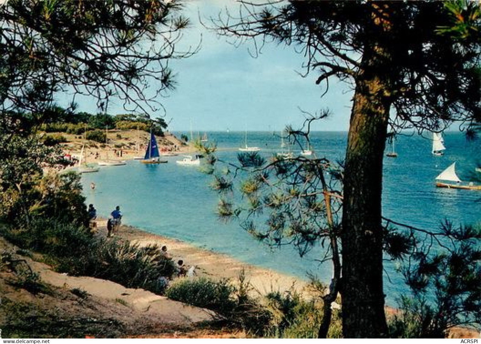 ILE DE Ré  Les Portes Le Fier Et Anse De  Trousse Chemise    15  (scan Recto-verso)MA2064Ter - Ile De Ré