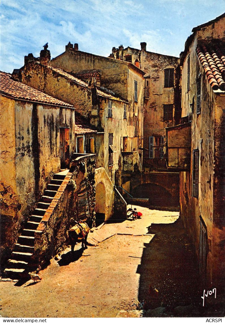 CALVI Vieilles Maisons Dans La Basse Ville 5(scan Recto-verso) MA2079 - Calvi