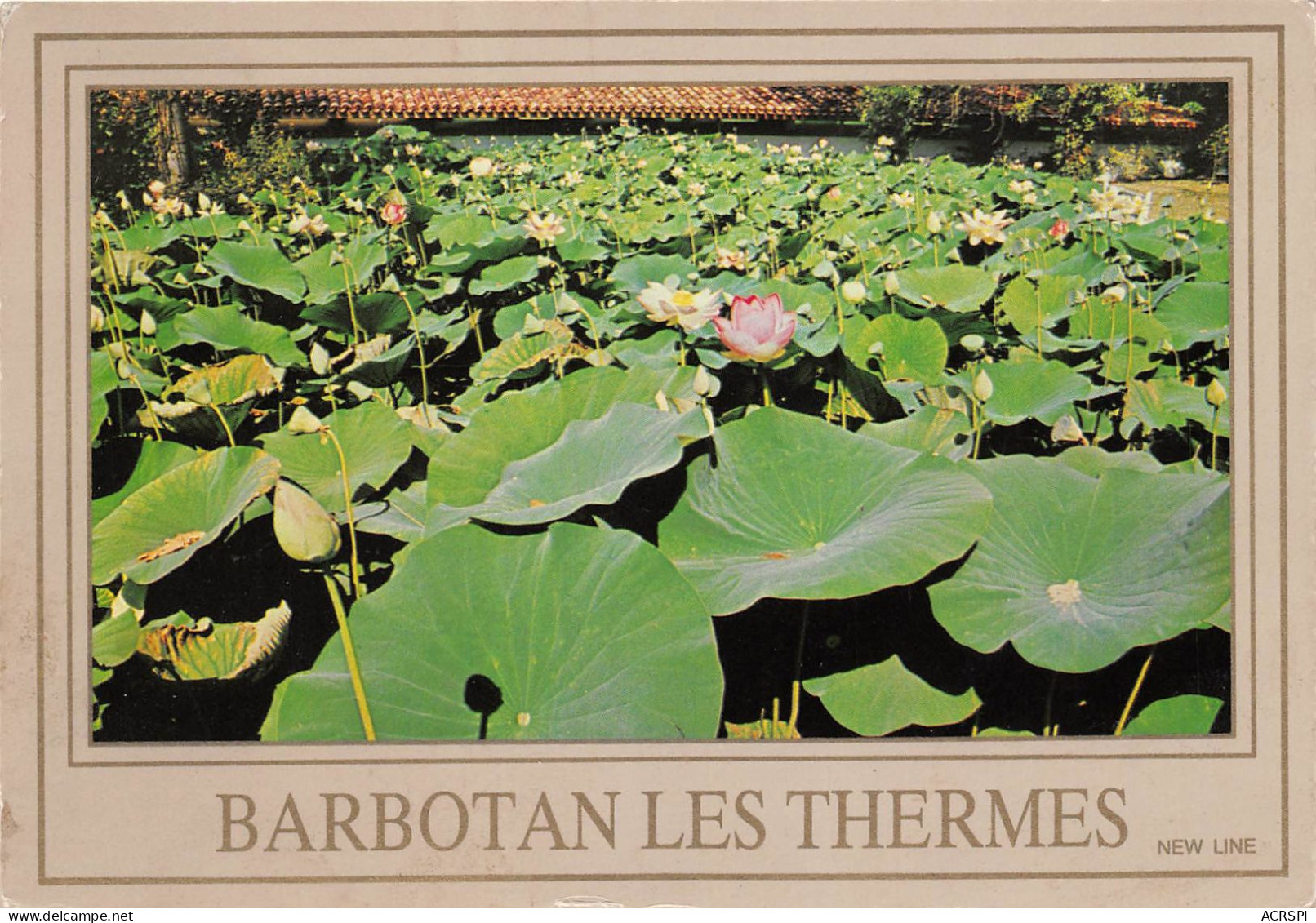 BARBOTAN LES THERMES Station Thermale Les Lotus 29(scan Recto-verso) MA2093 - Barbotan