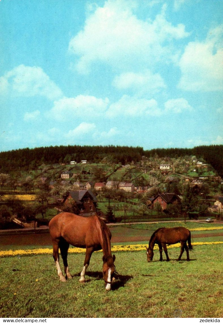 H1714 - TOP Pferd Horses - Planet Verlag DDR - Horses