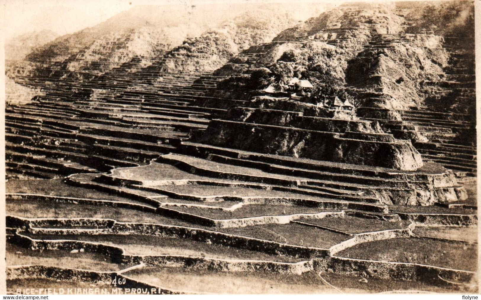 Baguio - Carte Photo - Rice Field Kiangan , Mont Prou - Rizières - 1932 - Philippines - Filipinas